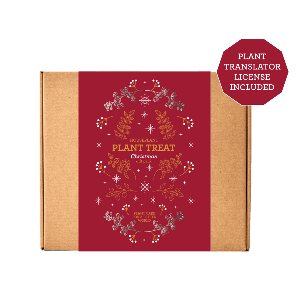 CHRISTMAS GIFTS FOR EMPLOYEES-5