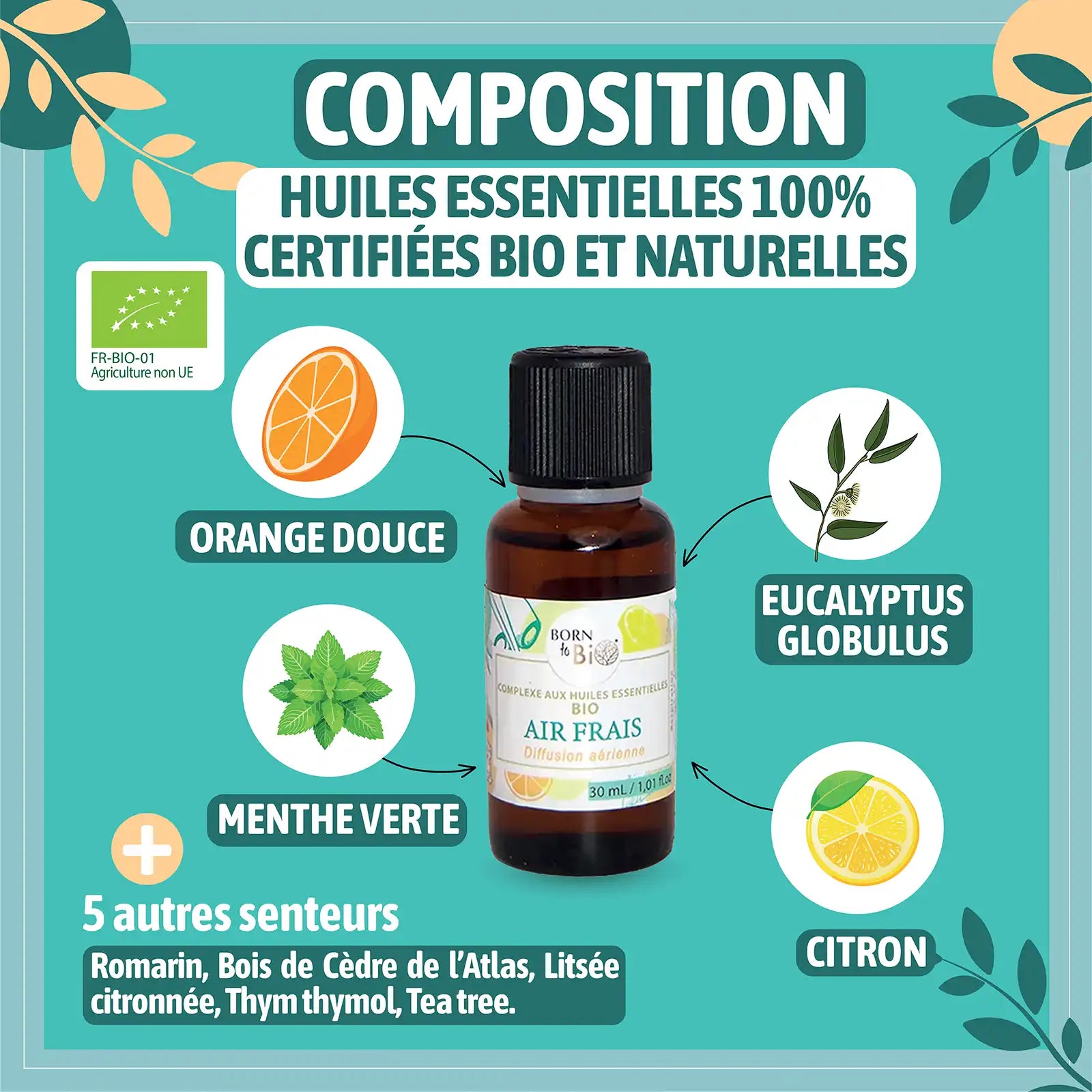 Fresh Air - Complex with Certified Organic Essential Oils-1
